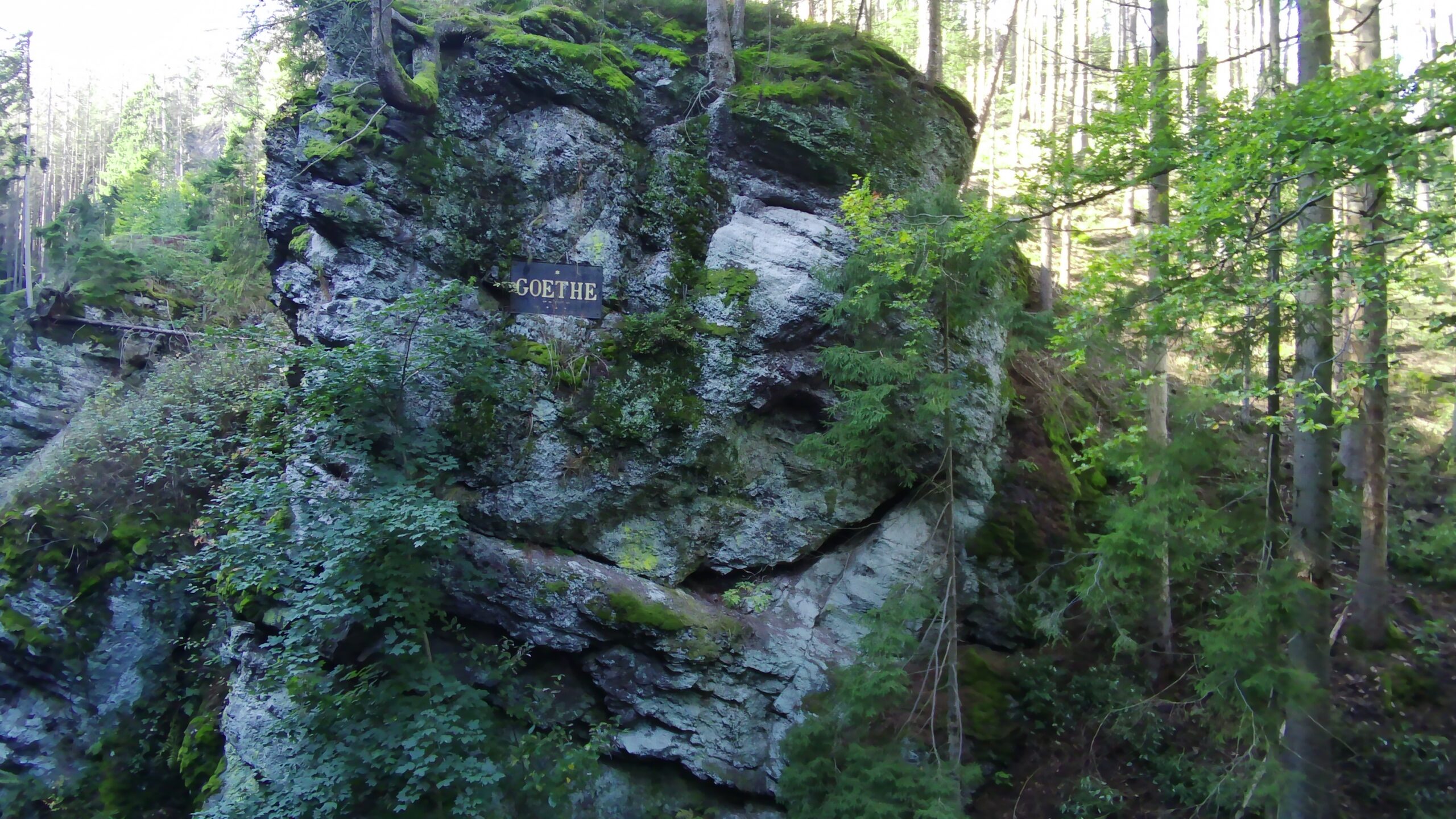 Wanderwege im Thüringer Wald