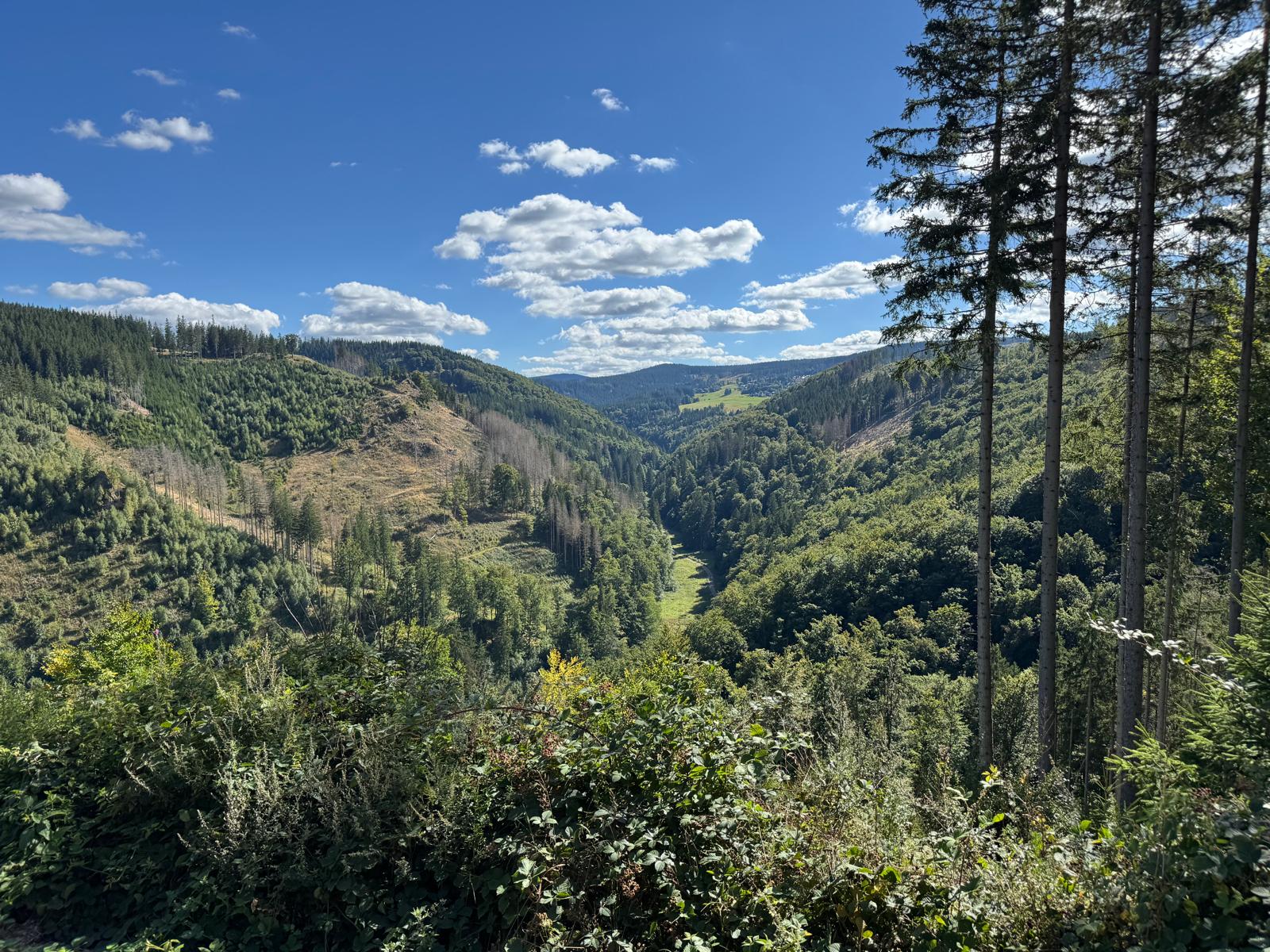 Thüringer Wald rund um Geraberg